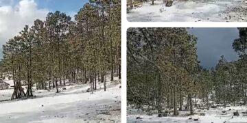 ¡Graniza en Miquihuana!