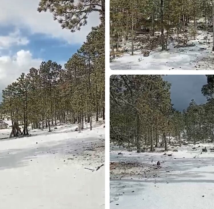¡Graniza en Miquihuana!
