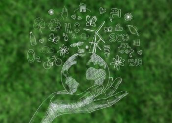 El camino hacia la eficiencia y sostenibilidad de Jomadi Logistics & Cargo y otras empresas mexicanas