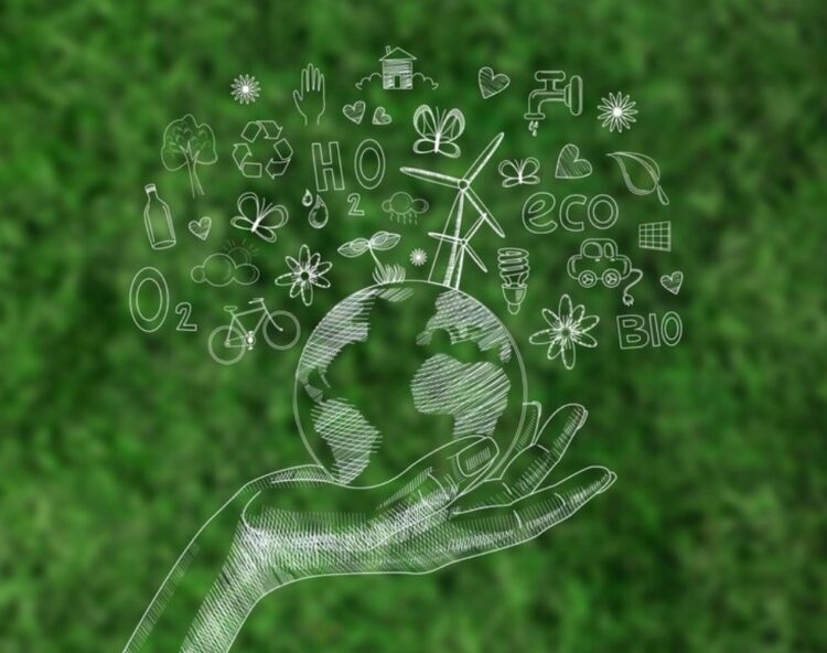 El camino hacia la eficiencia y sostenibilidad de Jomadi Logistics & Cargo y otras empresas mexicanas