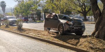Choca contra árbol por falla mecánica