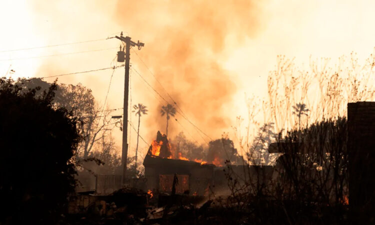 Los incendios en Los Ángeles provocan daños que superan los 30 mmdd