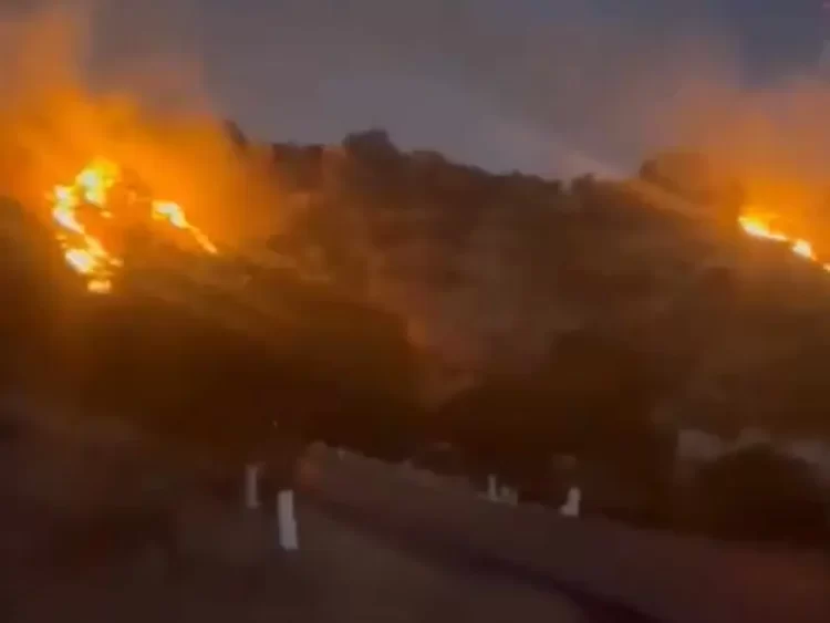 Combaten 12 incendios forestales en ocho municipios de la sierra de Chihuahua