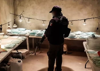 Operación Frontera Norte: decomisan 20 toneladas entre sustancias y fentanilo