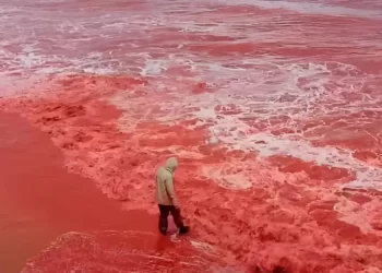 Captan la ‘lluvia de sangre’ en la isla Hormuz, Irán; se tiñe el mar de rojo