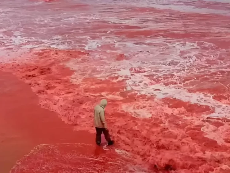 Captan la ‘lluvia de sangre’ en la isla Hormuz, Irán; se tiñe el mar de rojo