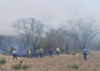 Atiende Protección Civil incendio en Nuevo Morelos