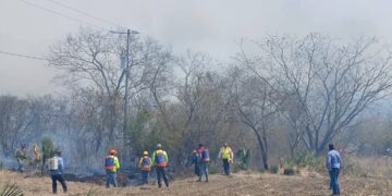 Atiende Protección Civil incendio en Nuevo Morelos