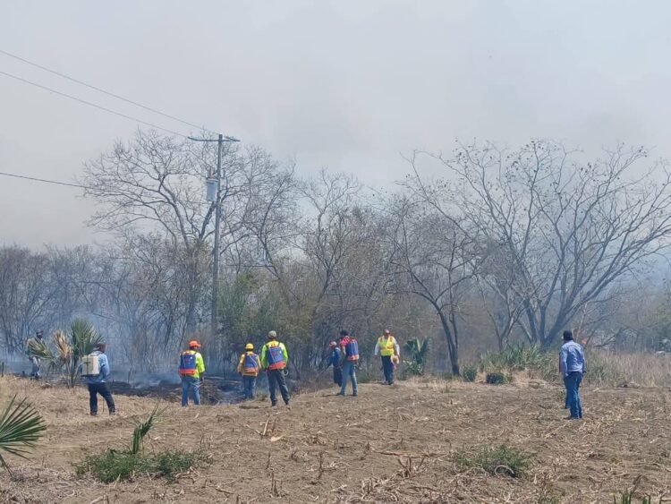 Atiende Protección Civil incendio en Nuevo Morelos