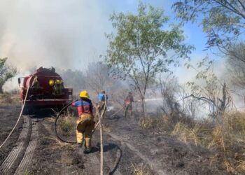 Sofocan 40 incendios de pastizales y maleza en diversas zonas de Cd. Victoria.