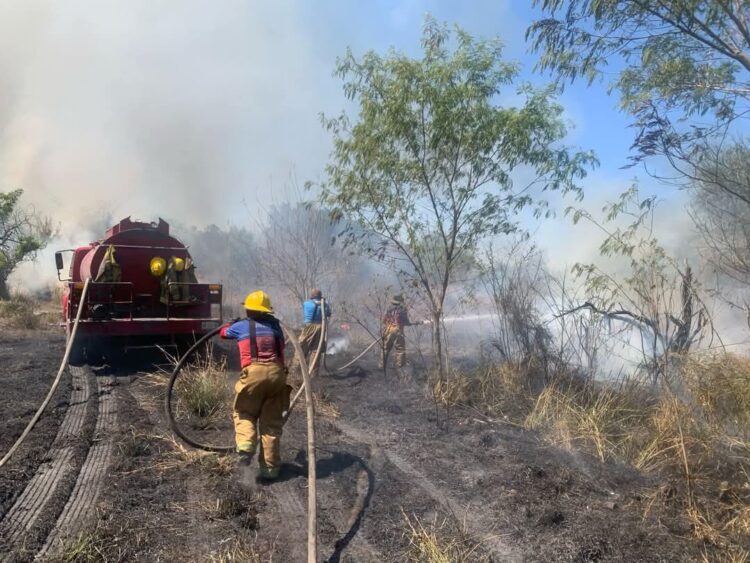 Sofocan 40 incendios de pastizales y maleza en diversas zonas de Cd. Victoria.