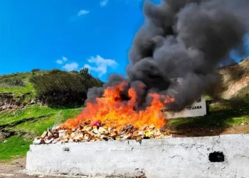 FGR incinera seis toneladas de narcóticos en Baja California