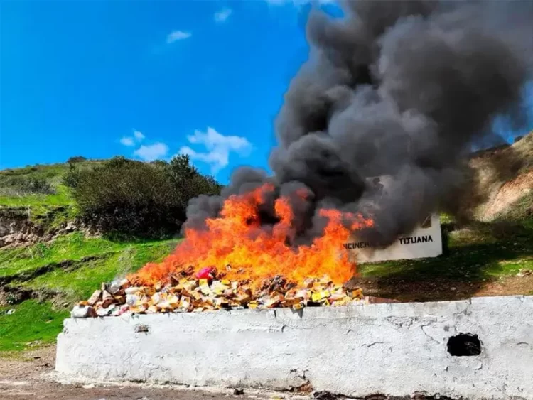 FGR incinera seis toneladas de narcóticos en Baja California
