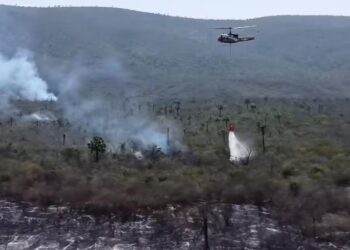 Intensifican acciones por tierra y aire para combatir incendio forestal en Antiguo y Nuevo Morelos