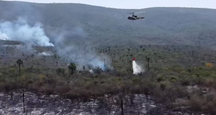 Intensifican acciones por tierra y aire para combatir incendio forestal en Antiguo y Nuevo Morelos
