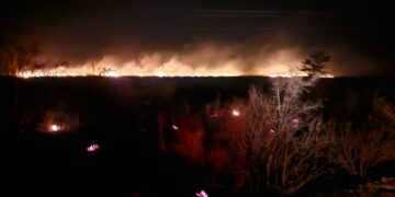 Reportan incendio forestal en predios del ejido Independencia en Jiménez, Tamaulipas
