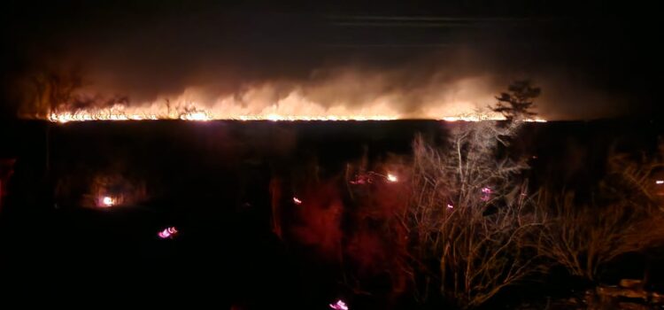 Reportan incendio forestal en predios del ejido Independencia en Jiménez, Tamaulipas