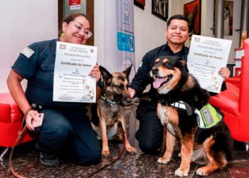 Distingue Federación Canófila labor de unidades caninas del Senasica