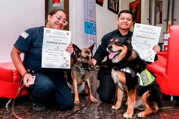 Distingue Federación Canófila labor de unidades caninas del Senasica
