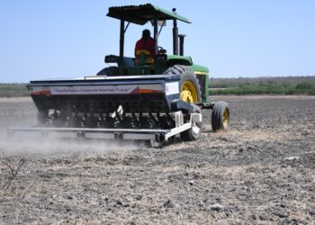 Facilita Gobierno de Tamaulipas sembradoras a productores de arroz de ejidos de González y El Mante