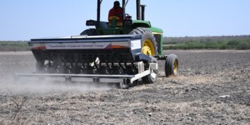 Facilita Gobierno de Tamaulipas sembradoras a productores de arroz de ejidos de González y El Mante