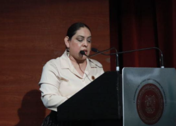 Plantea Diputada del PVEM reformas a la Ley de Mediación de Tamaulipas