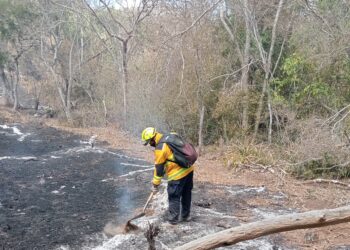 Incendios forestales afectaron casi 9 mil hectáreas en diez municipios de Tamaulipas