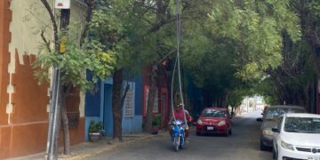 Empresas cableras de Cd. Victoria por los suelos y toleradas por las autoridades