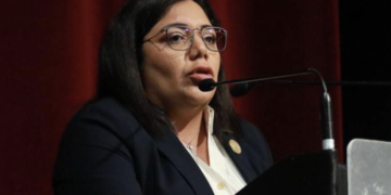 Avalan diputados locales homologar concepto de violencia vicaria en leyes de Tamaulipas