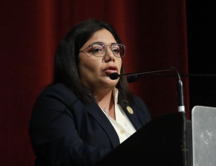 Avalan diputados locales homologar concepto de violencia vicaria en leyes de Tamaulipas