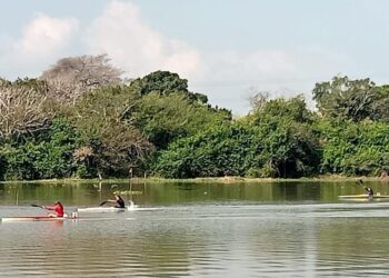 Definen selección tamaulipeca de canotaje durante estatal en Tampico
