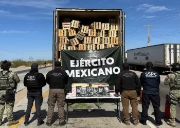 Detienen en Sonora a sujeto con pastillas y fentanilo oculto entre nopales