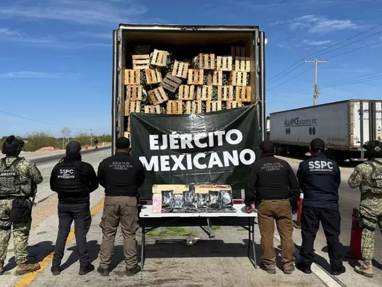 Detienen en Sonora a sujeto con pastillas y fentanilo oculto entre nopales
