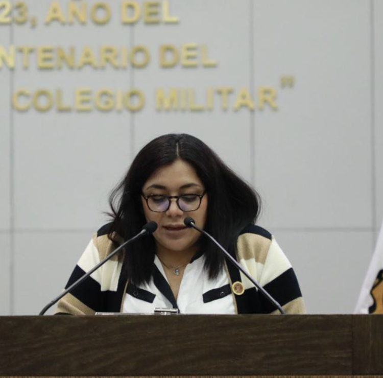 Aprueban Diputados reforma al Código Penal para garantizar enforque de género