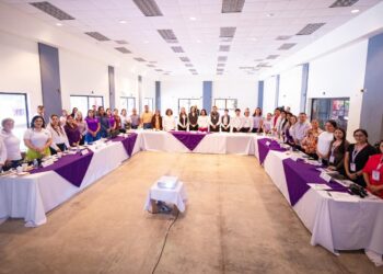 Capacita a DIF municipales de Tamaulipas en la estrategia “Vive Saludable, Vive Feliz”