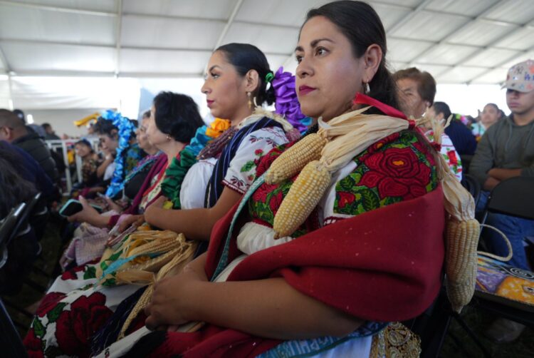 Fortalecerán acceso de productoras, jornaleras y campesinas a los Programas del Bienestar