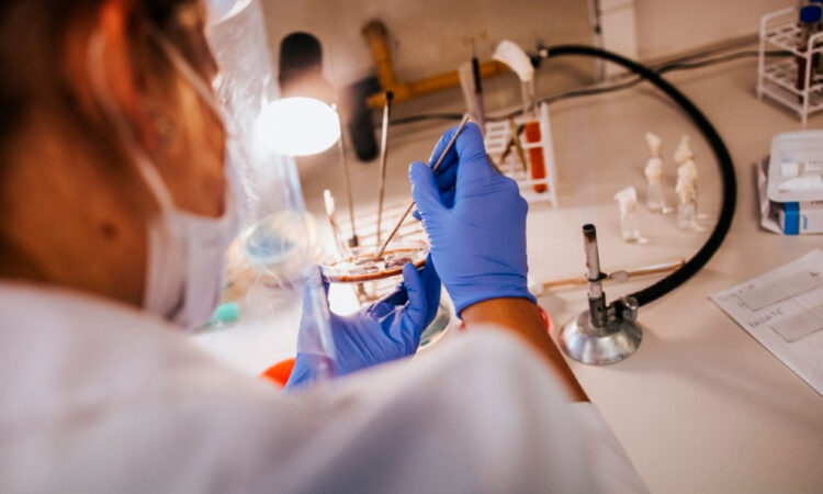 Europa y Canadá, destinos preferidos por científicos de Estados Unidos