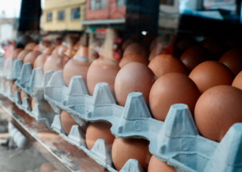 Posible colusión en precio del huevo es investigada en EE.UU.