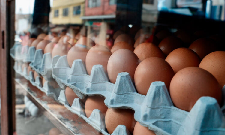 Posible colusión en precio del huevo es investigada en EE.UU.