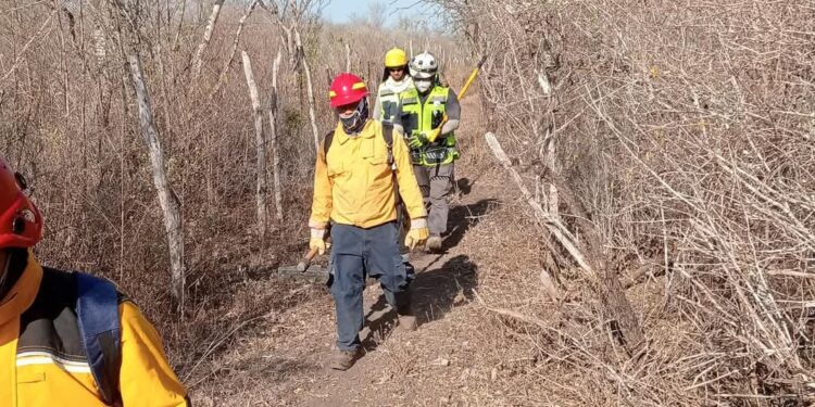 Atacan por aire incendio en Güémez