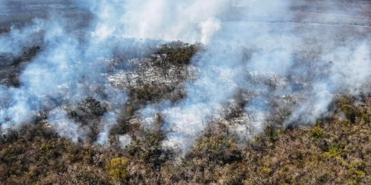 Atacan por aire incendio en Güémez