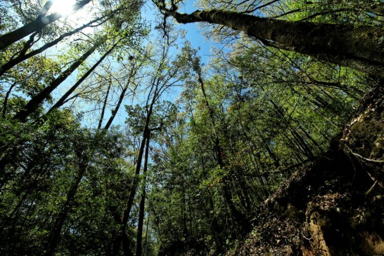 Reafirman compromiso por la biodiversidad en “El Cielo”