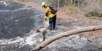 Fiscalía abre carpetas de investigación por incendios forestales en sur de Tamaulipas