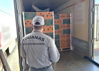 Aseguran una tonelada de metanfetaminas en Aduana de Miguel Alemán, Tamaulipas