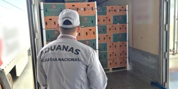 Aseguran una tonelada de metanfetaminas en Aduana de Miguel Alemán, Tamaulipas