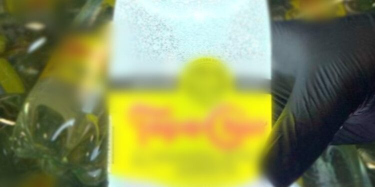 Aseguran una tonelada de metanfetaminas en Aduana de Miguel Alemán, Tamaulipas