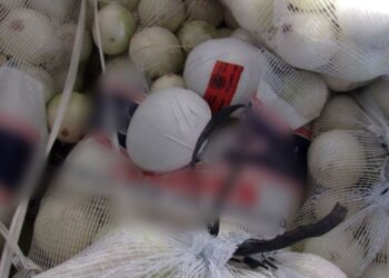 Golpe al narcotráfico en Tamaulipas: aseguran 215 kilos de metanfetamina