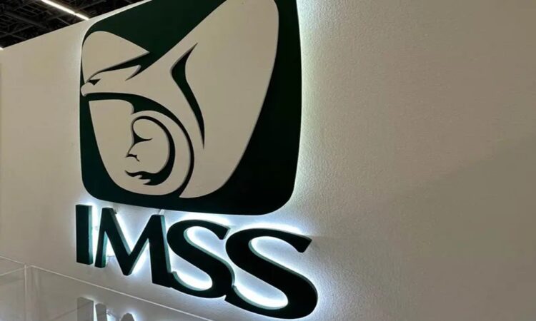 El Seguro Social lidera trasplantes renales con 52% de los procedimientos nacionales