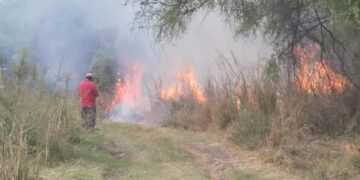 Bomberos de Cd. Victoria han atendido 90 incendios en los últimos días