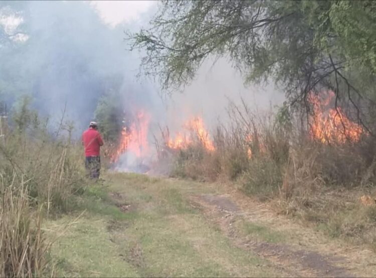 Bomberos de Cd. Victoria han atendido 90 incendios en los últimos días
